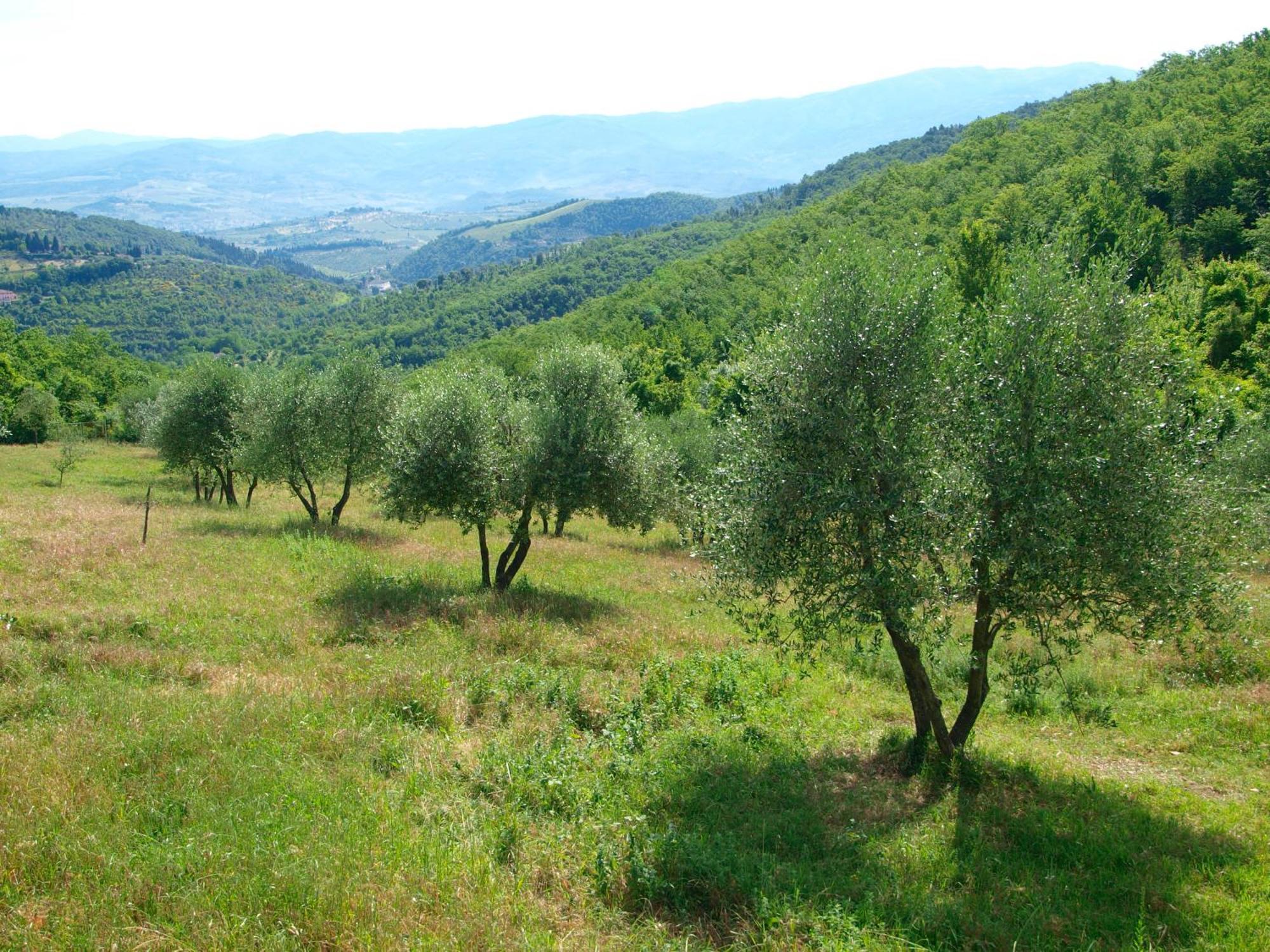 Casignano Bed & Breakfast Bagno A Ripoli Bilik gambar