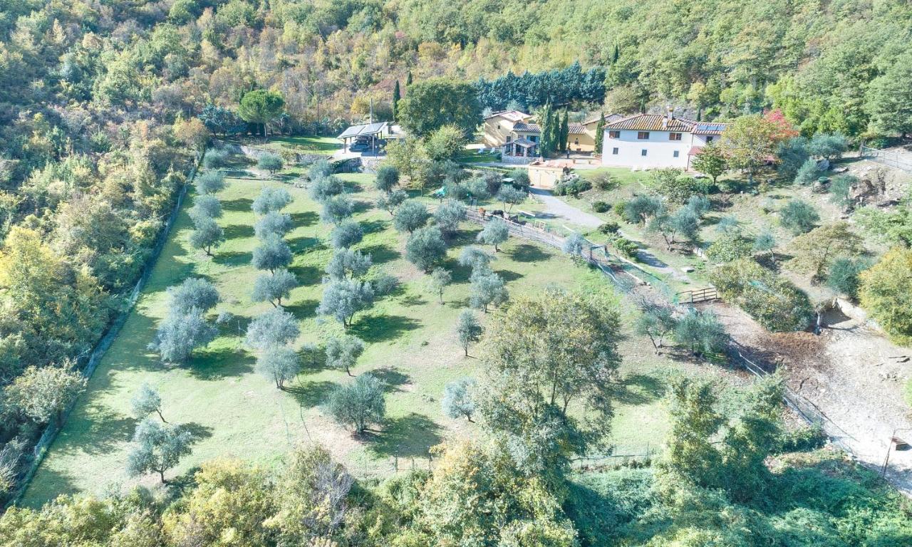 Casignano Bed & Breakfast Bagno A Ripoli Luaran gambar